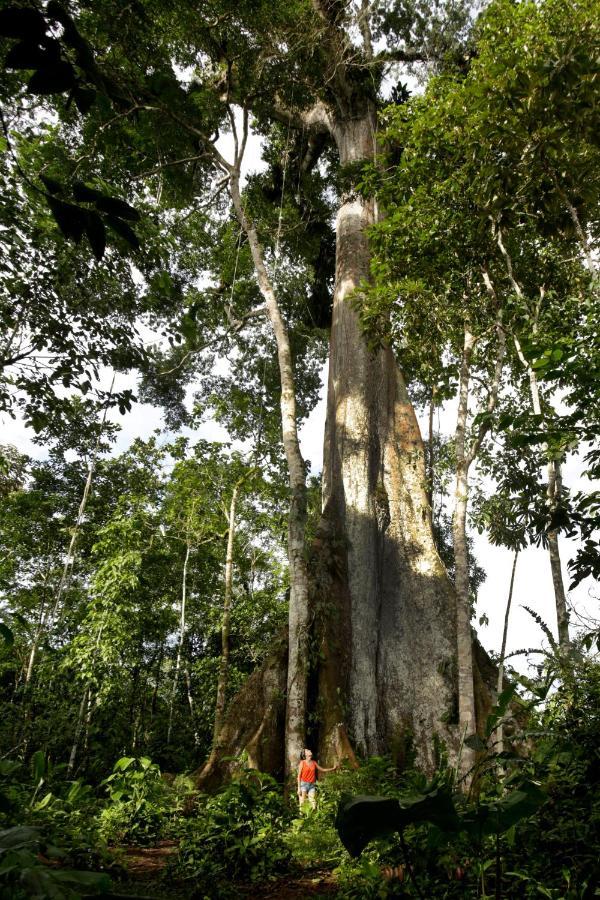 Misahualli Amazon Lodge Exterior foto